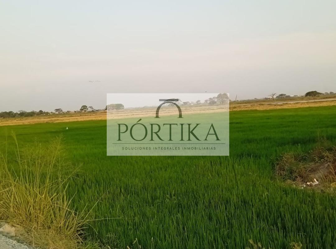Terreno en venta en Daule, Guayas