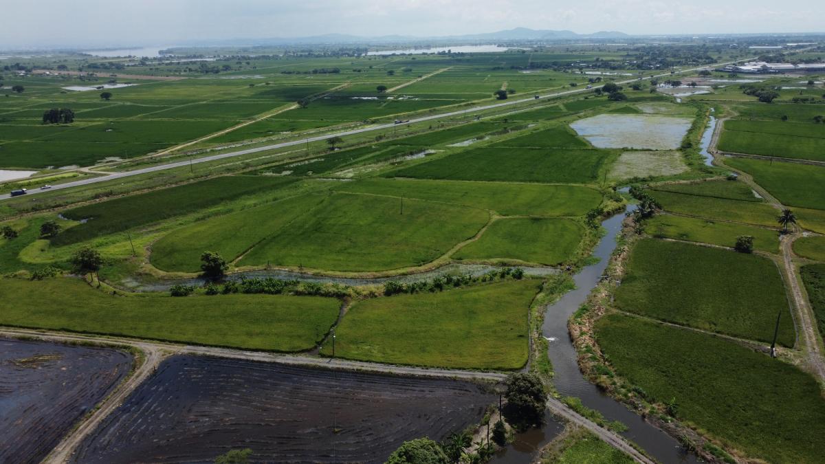Terreno en venta en Yaguachi, Guayas