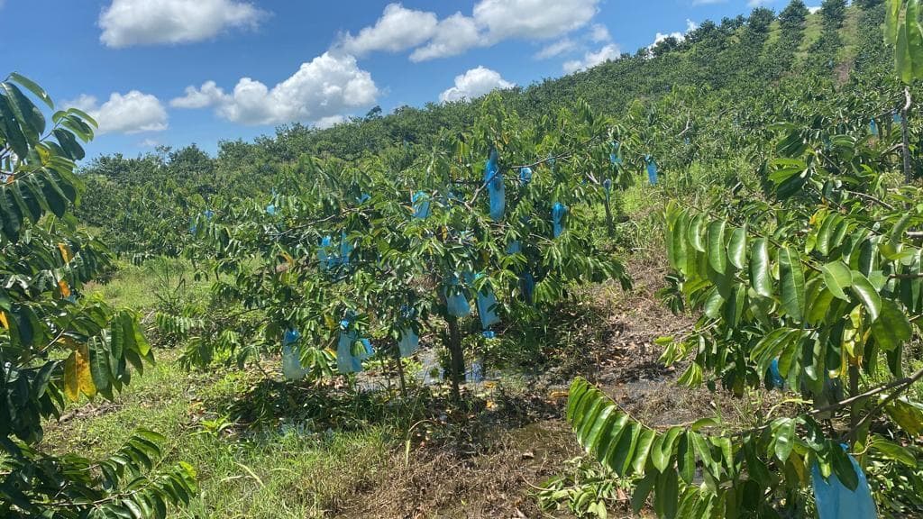 Terreno en venta en Pedro Carbo, Guayas