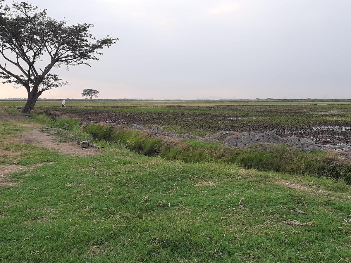 Terreno en venta en Yaguachi, Guayas