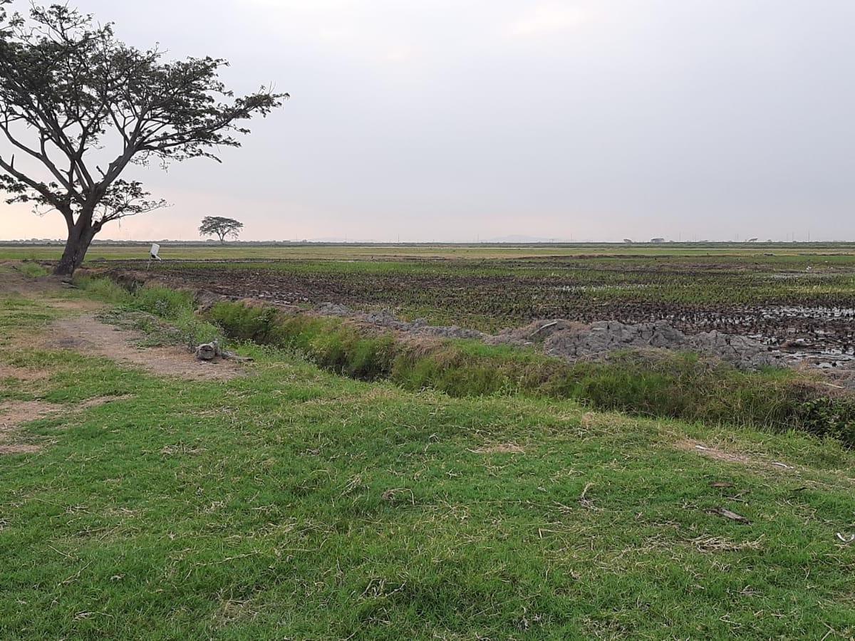 Terreno en venta en Yaguachi, Guayas