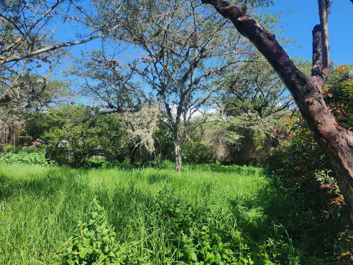 Terreno en venta en Quito, Pichincha