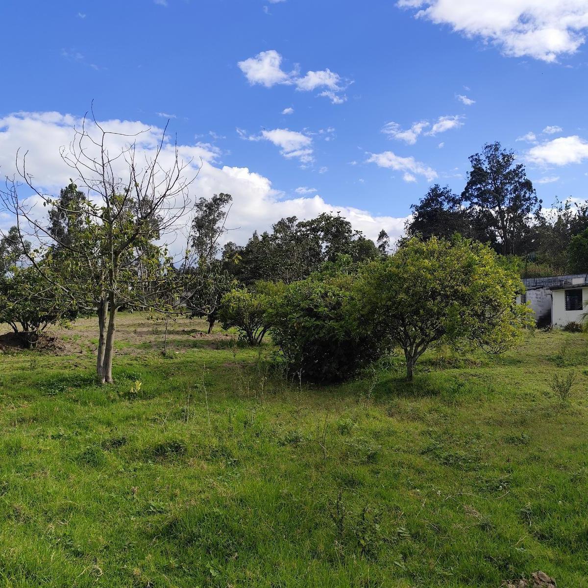 Terreno en alquiler en Quito, Pichincha