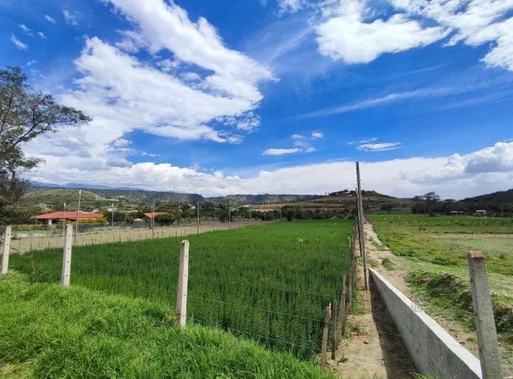 Terreno en Venta Guayllabamba, Sector Cooperativa de La Policía, Chaquibamba — imagen 1
