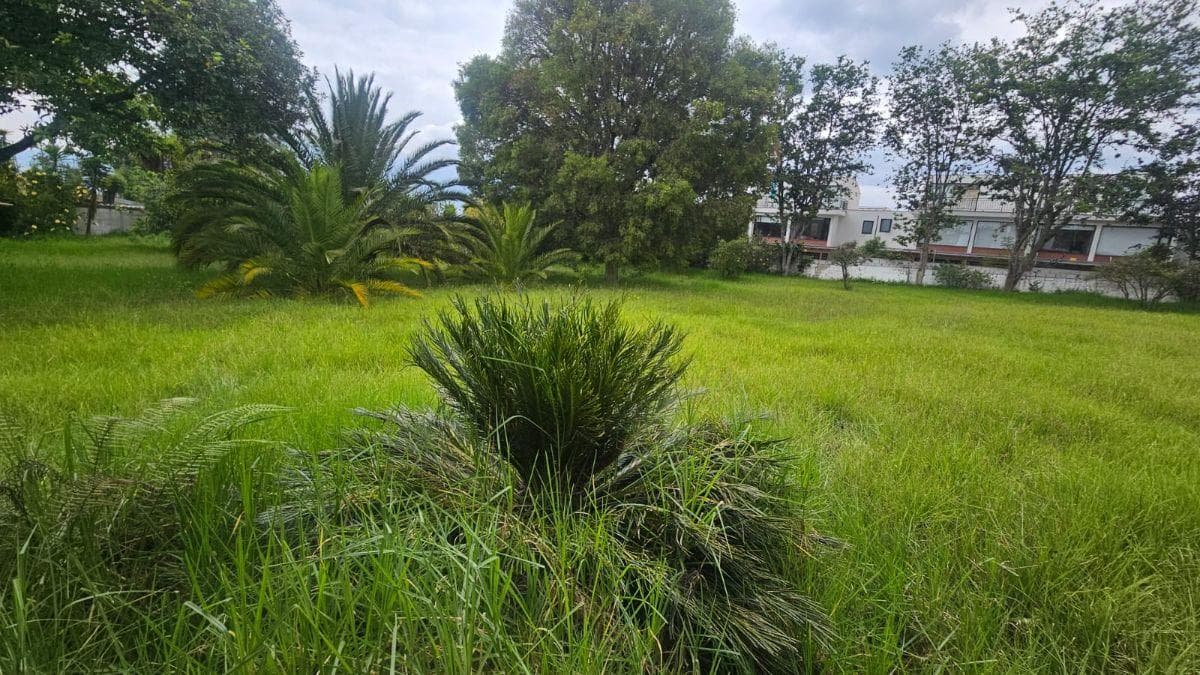 Terreno en alquiler en Quito, Pichincha