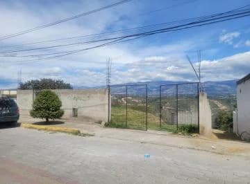 Terreno en Arriendo Nayon — imagen 5