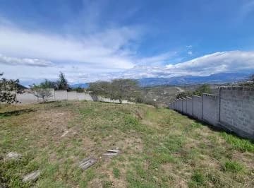 Terreno en Arriendo Nayon — imagen 4