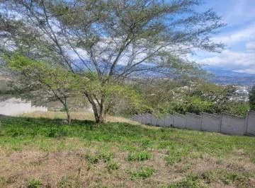 Terreno en Arriendo Nayon — imagen 3