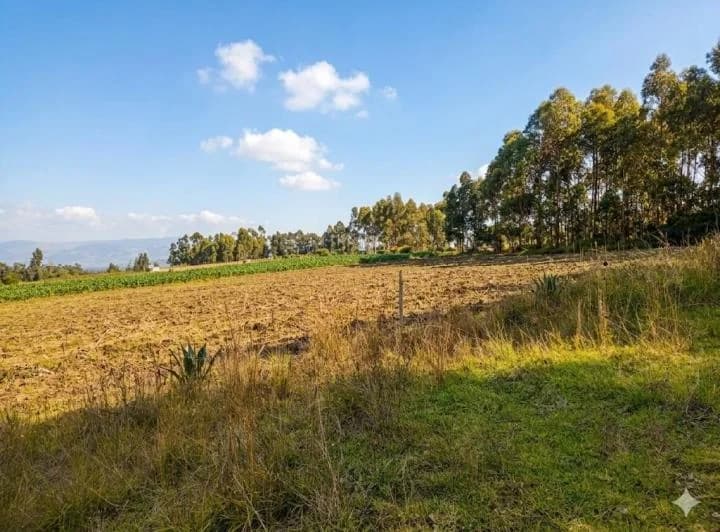 Terreno en Venta Malchingui — imagen 1