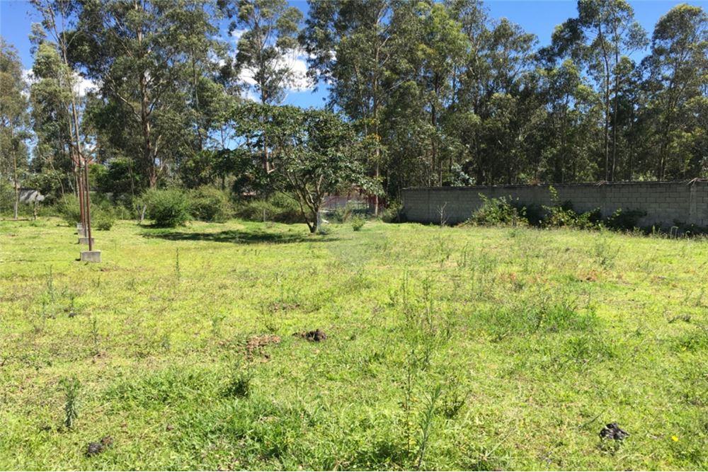 Terreno en venta en Quito, Pichincha