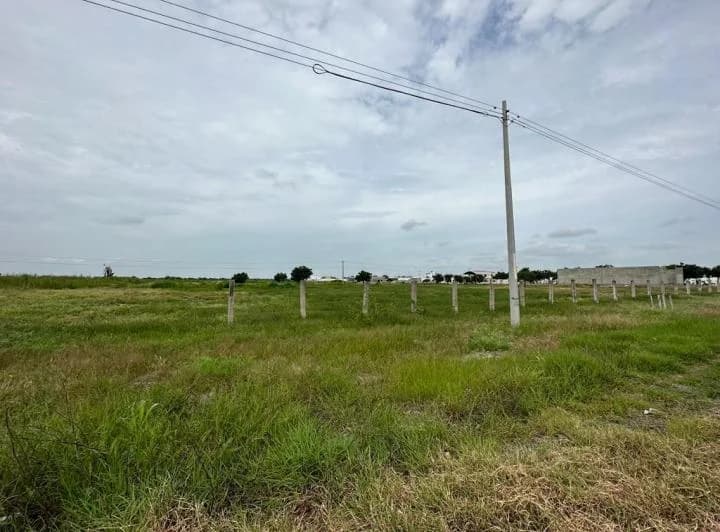 En Venta/ Alquiler Terreno a La Entrada Gnrl Villamil Playas - C. García, Guayas — imagen 1