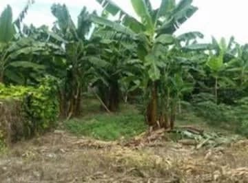 Tonsupa, Terreno Excelente Ubicaciòn — imagen 5