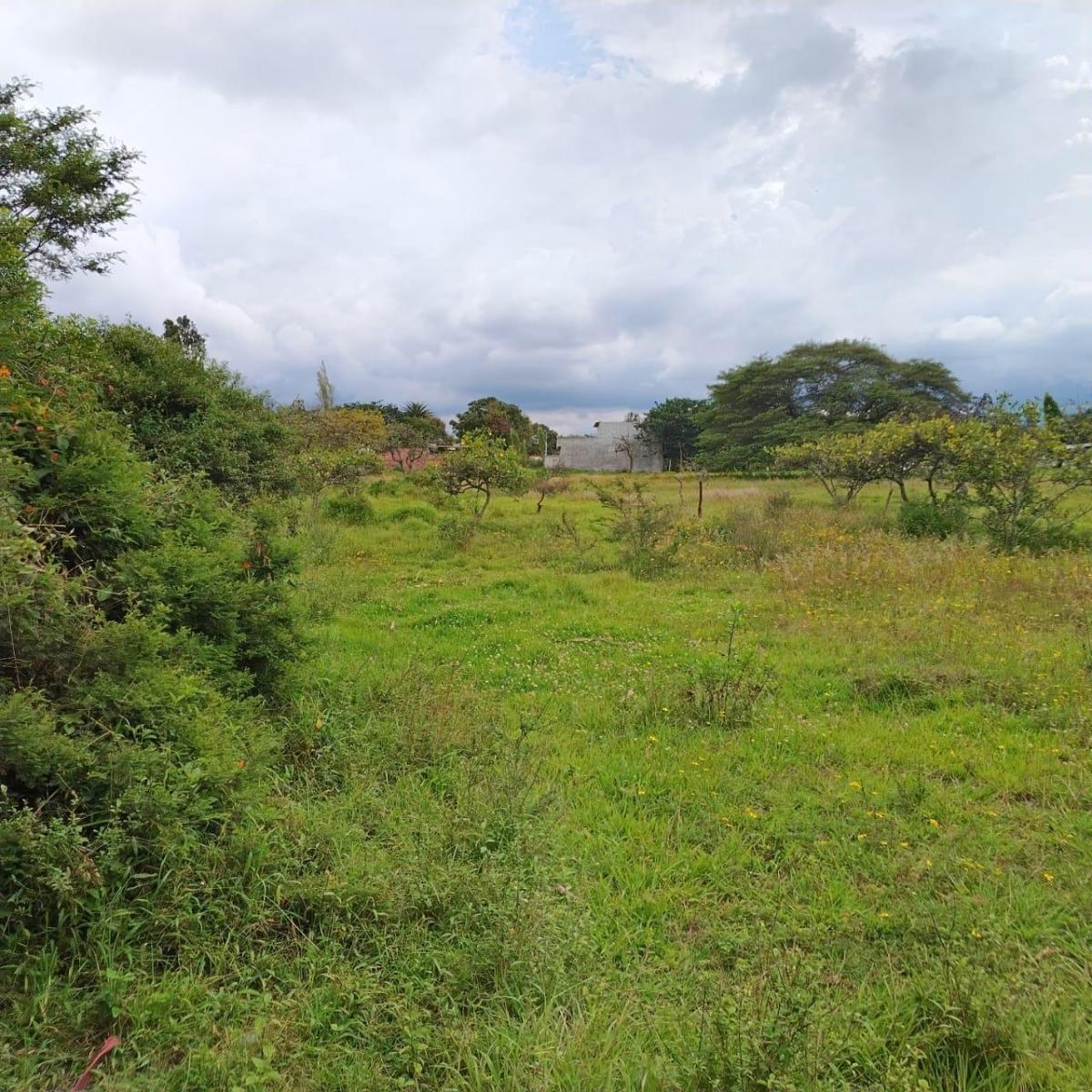 Terreno en venta en Quito, Pichincha