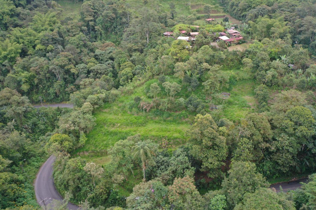 Terreno en venta en Mindo, Pichincha