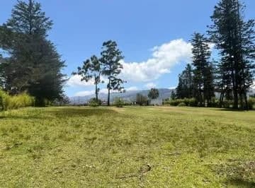 Terreno Venta Puembo Calle Jose Borja / Cerca a Colegios*msb* — imagen 5