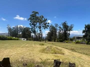Terreno Venta Puembo Calle Jose Borja / Cerca a Colegios*msb* — imagen 4