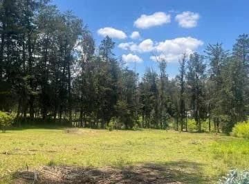 Terreno Venta Puembo Calle Jose Borja / Cerca a Colegios*msb* — imagen 3