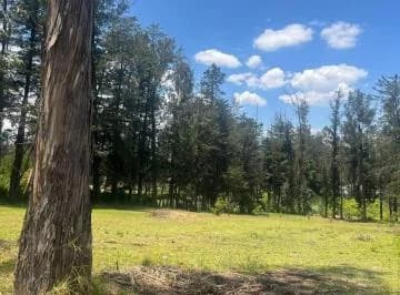 Terreno Venta Puembo Calle Jose Borja / Cerca a Colegios*msb* — imagen 2
