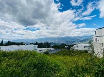 Hermoso Terreno de Venta en San Juan de Cumbaya Ruta Viva! Vista! — imagen 2