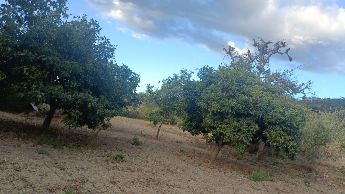 Terreno en venta en Quito, Pichincha