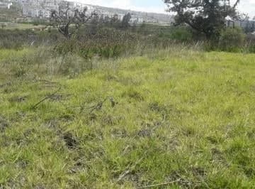 Renta o Venta Terreno Comercial Sector Pomasqui, Av Manuel Córdova Galarza — imagen 5