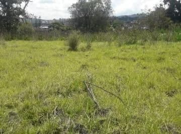 Renta o Venta Terreno Comercial Sector Pomasqui, Av Manuel Córdova Galarza — imagen 3