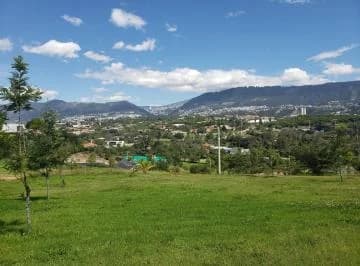 Vendo Hermoso Terreno en La Quinta Cumbayá por Colegio Menor! — imagen 5
