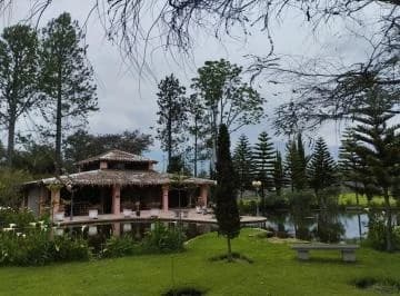 Sector Tababela, en Renta Quinta y Terreno de 10.4 Has — imagen 3
