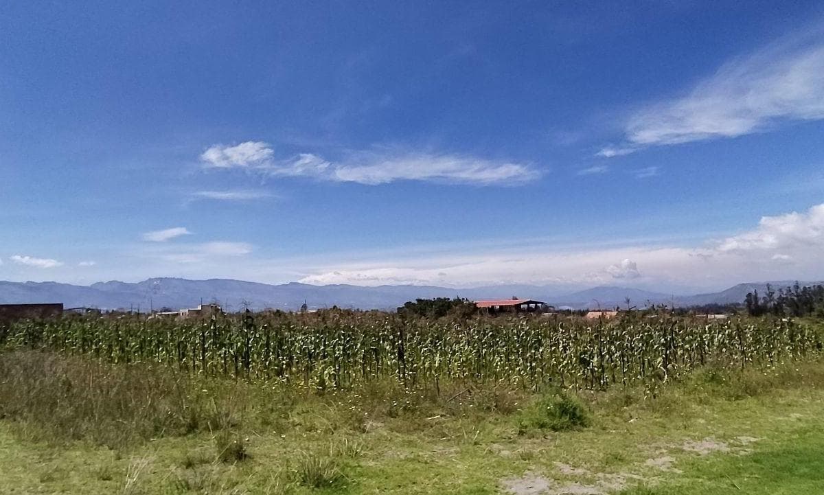Terreno en venta en Pedro Moncayo, Pichincha