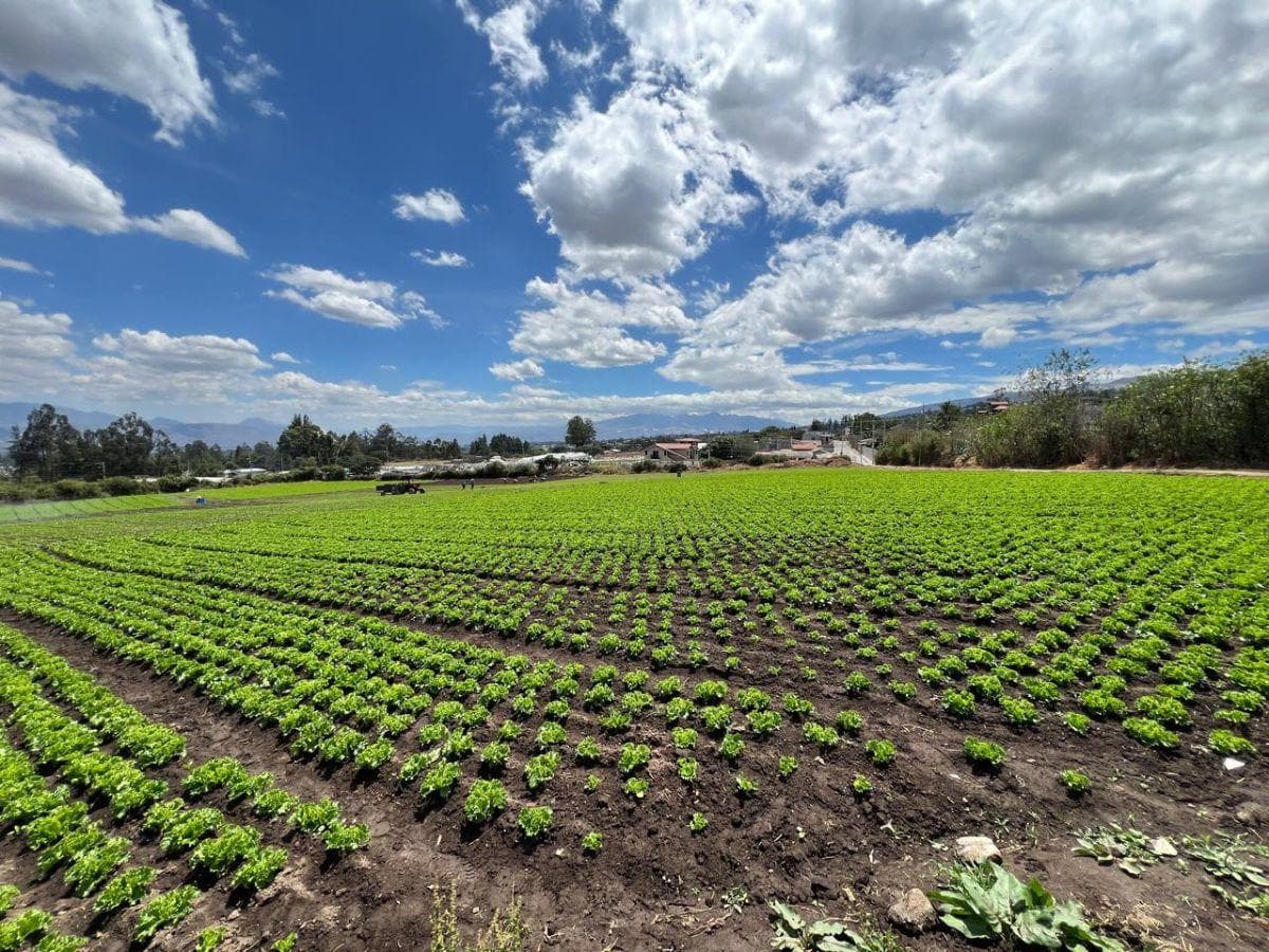 Terreno en venta en Quito, Pichincha