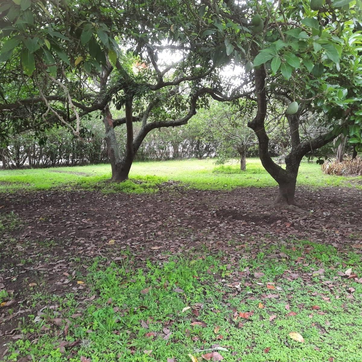 Terreno en venta en Quito, Pichincha