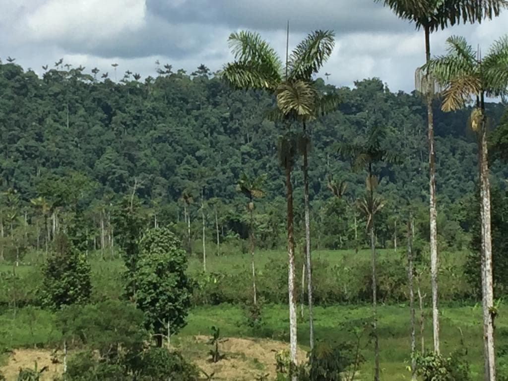 Terreno en venta en Los Bancos, Pichincha