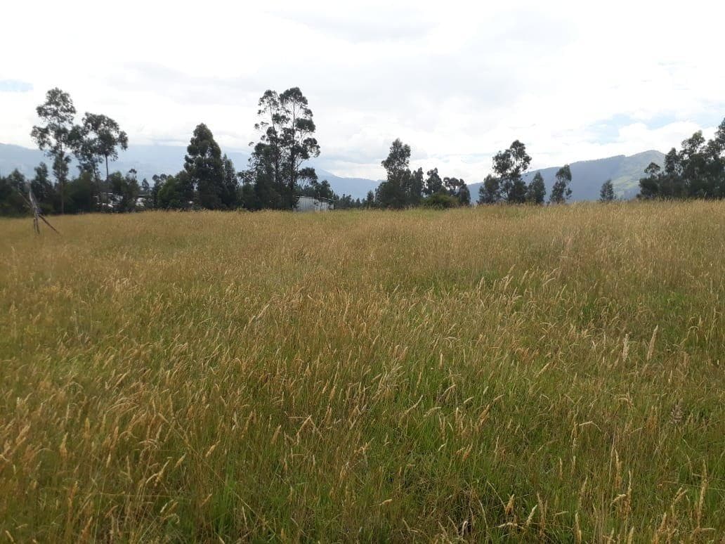 Terreno en venta en Quito, Pichincha