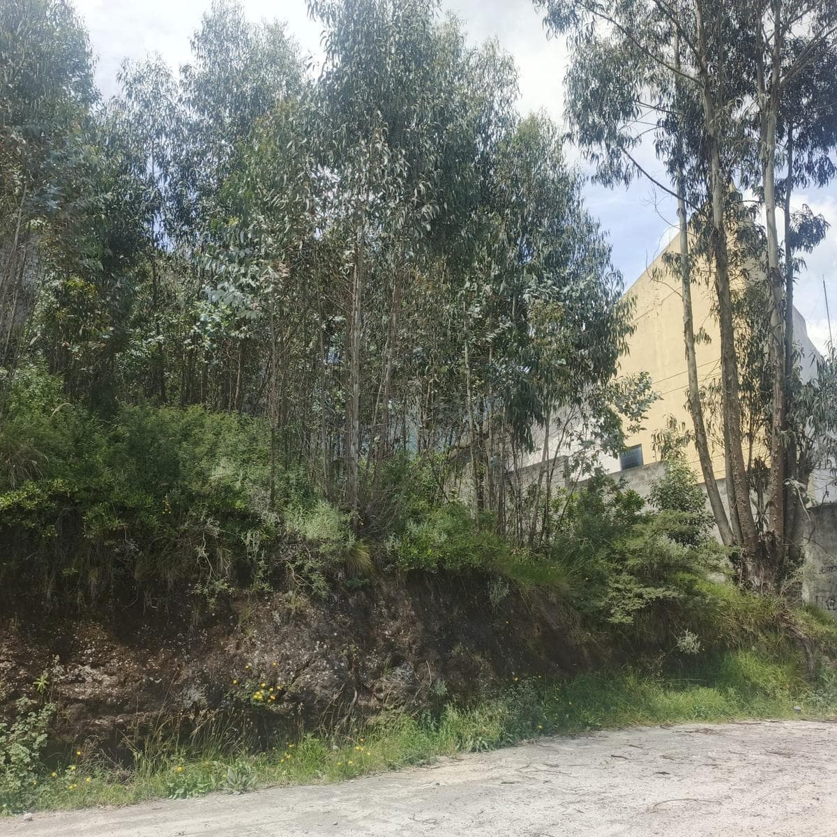 Terreno en venta en Quito, Pichincha