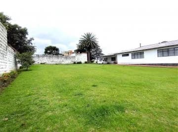 Venta Terreno Plano - Av Ilaló - Los Chillos — imagen 4