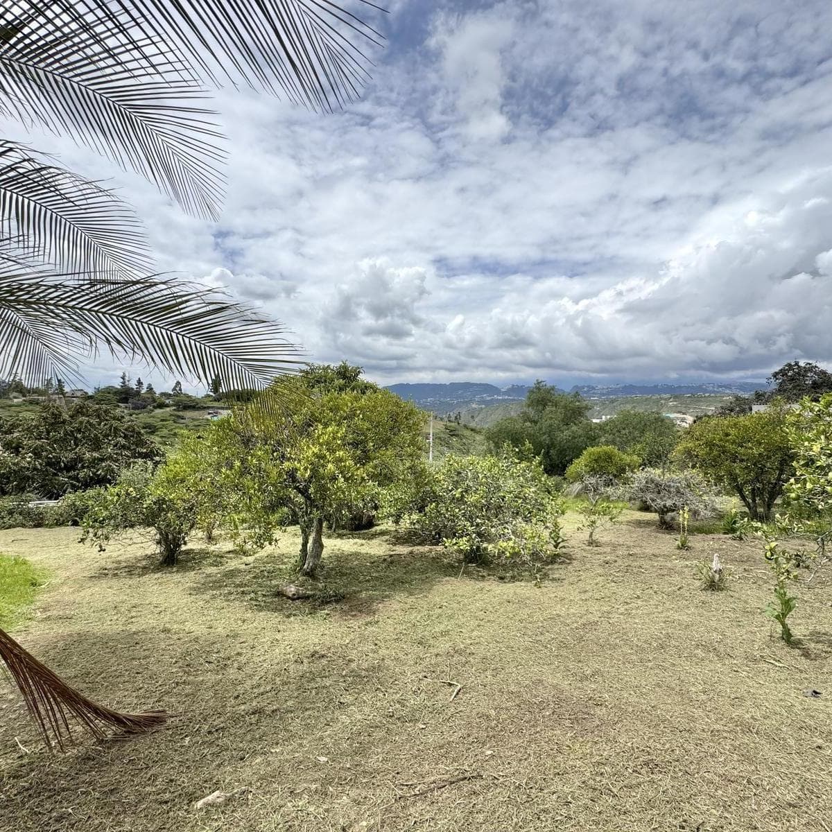Terreno en venta en Quito, Pichincha