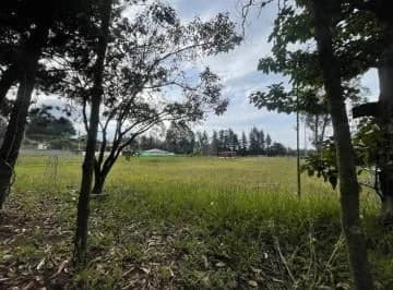 En Renta Terreno Plano - Puembo - Cerca a Los Nuevos Colegios - *mm — imagen 4
