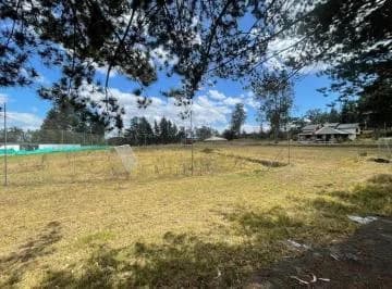 En Renta Terreno Plano - Puembo - Cerca a Los Nuevos Colegios - *mm — imagen 3