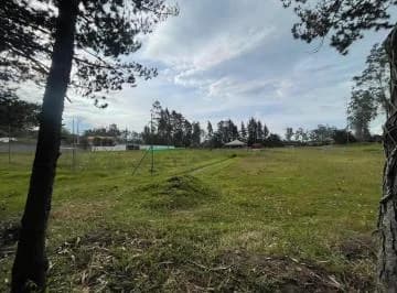 En Renta Terreno Plano - Puembo - Cerca a Los Nuevos Colegios - *mm — imagen 2