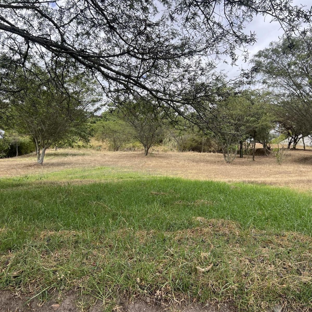 Terreno en venta en Quito, Pichincha