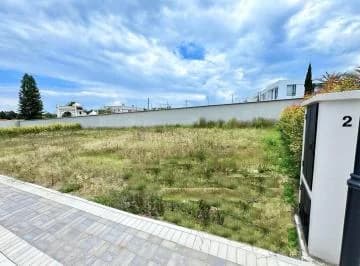 Puembo - Sector La Gruta 588.61 m² en Venta Terreno Unifamiliar Cos 100% — imagen 5
