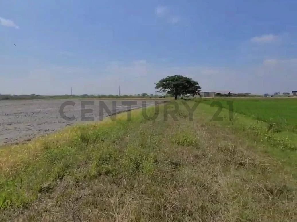 Terreno en venta en Guayaquil, Guayas