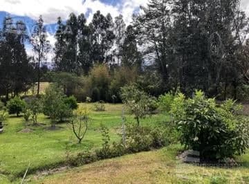Tumbaco - La Cerámica, Excelente Terreno de 2.000 m² en Venta — imagen 5