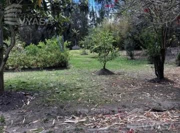 Tumbaco - La Cerámica, Excelente Terreno de 2.000 m² en Venta — imagen 3