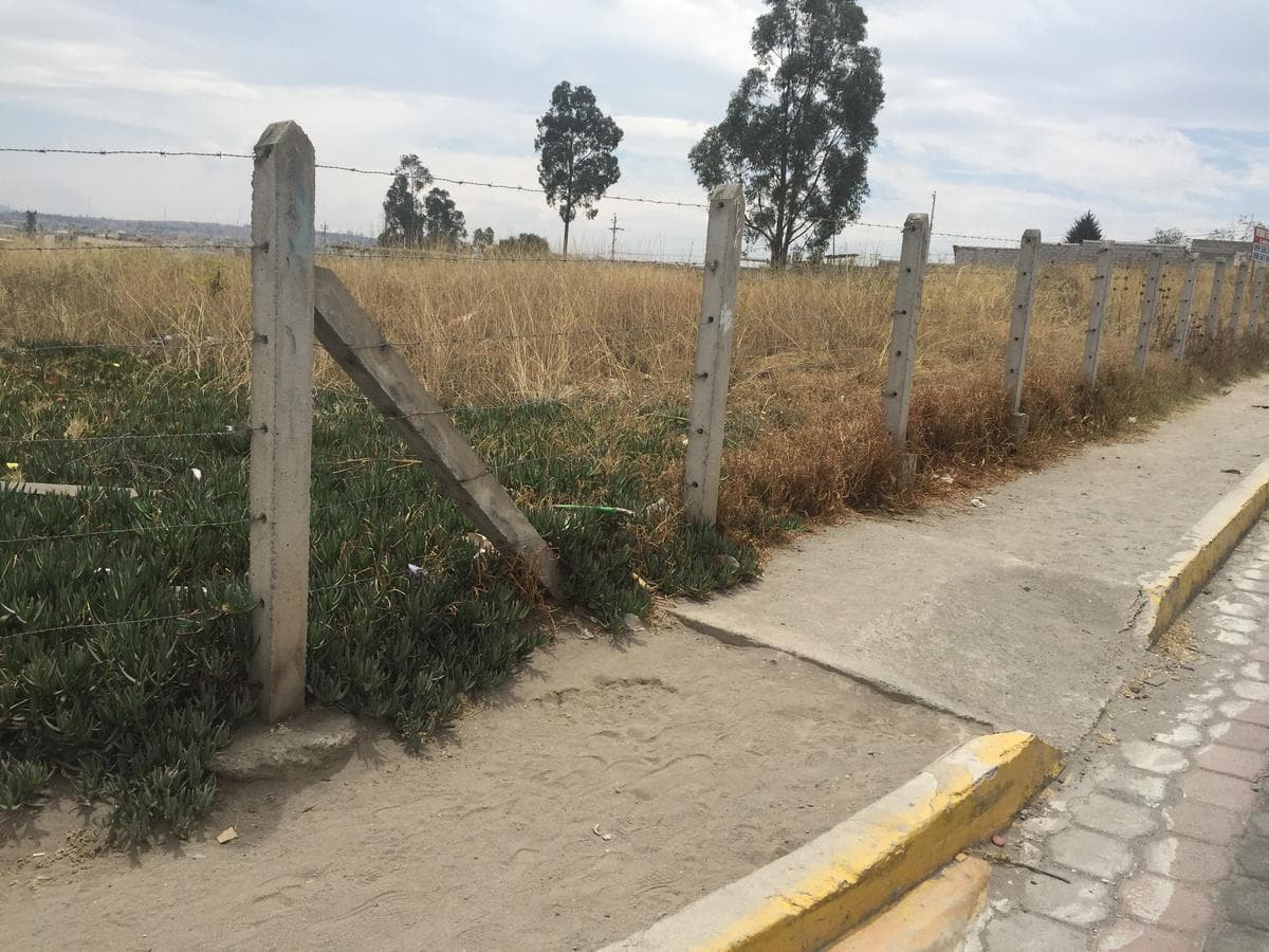 Calderon Venta Terreno Plano 3881 m² Cos 240% Urbano, Puedes Construir Tres Pisos — imagen 10