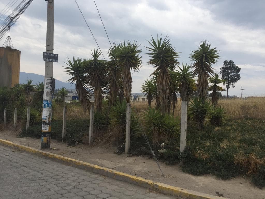 Calderon Venta Terreno Plano 3881 m² Cos 240% Urbano, Puedes Construir Tres Pisos — imagen 6