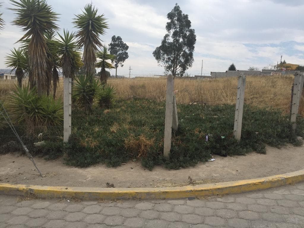 Calderon Venta Terreno Plano 3881 m² Cos 240% Urbano, Puedes Construir Tres Pisos — imagen 5