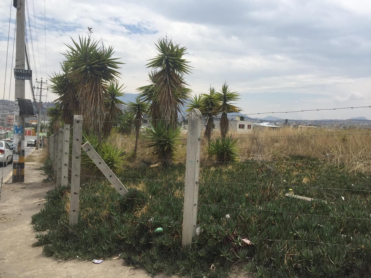 Calderon Venta Terreno Plano 3881 m² Cos 240% Urbano, Puedes Construir Tres Pisos — imagen 2