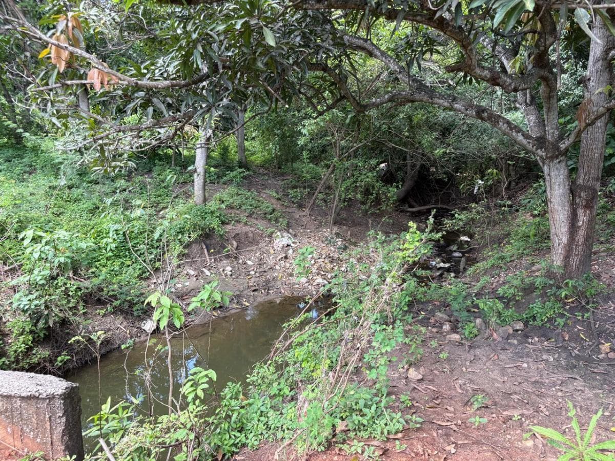 Terreno en Alquiler Via a La Costa Km²2 Ingg, Guayas — imagen 4