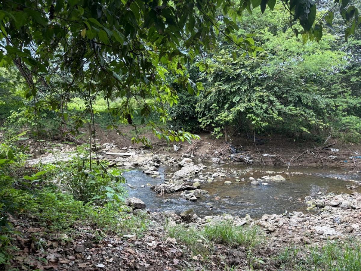 Terreno en Alquiler Via a La Costa Km²2 Ingg, Guayas — imagen 2